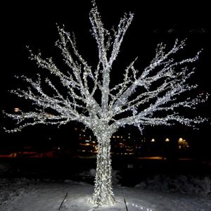 Dây Đèn LED Noel Ngoài Trời