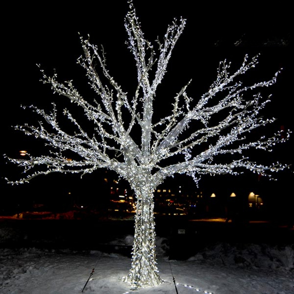 Dây Đèn LED Noel Ngoài Trời